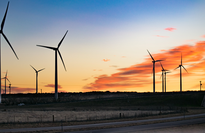 wind farm vegetation control